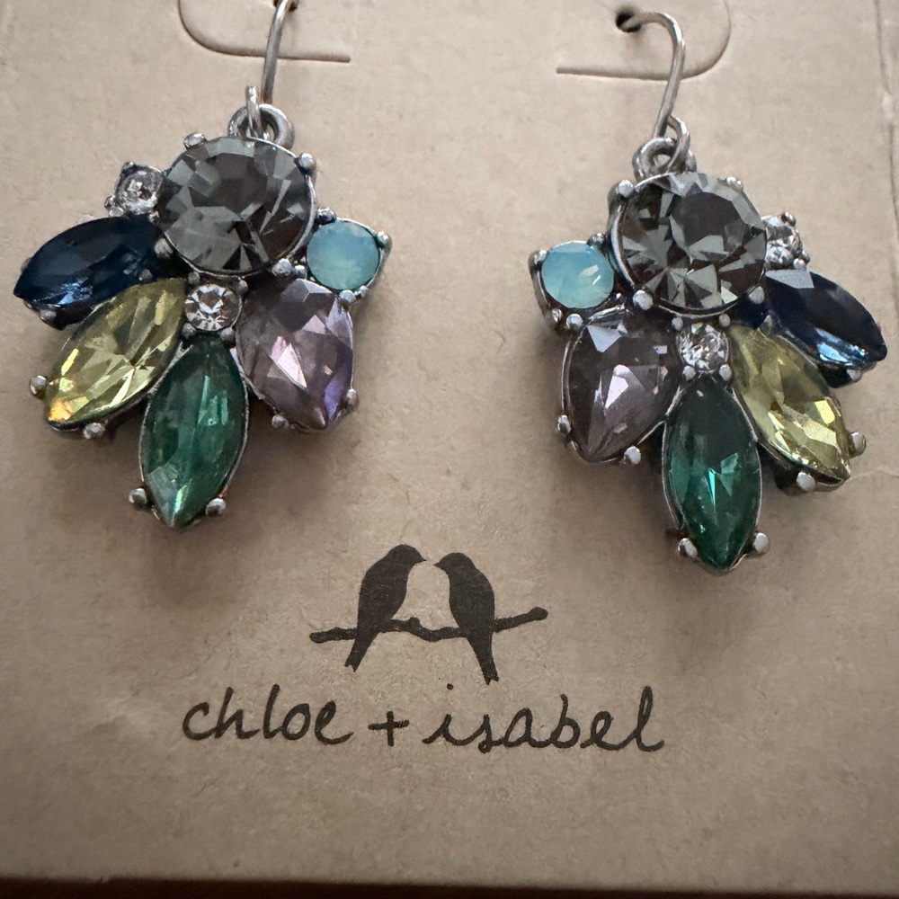 Chloe + Isabel Jewel-Toned Cluster Earrings
B1